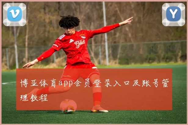 博亚体育app会员登录入口及账号管理教程