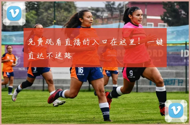 免费观看直播的入口在这里！一键直达不迷路